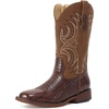 Brown/Crocodile