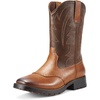 Brown 1